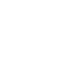 Accessible Icon